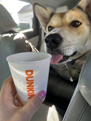 Pup cup