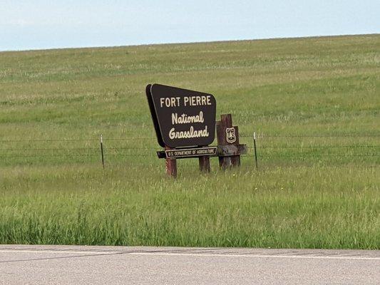 Fort Pierre National Grassland