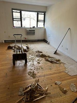 Carpet removal in Lakeview Chicago !