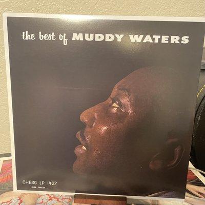 Muddy Waters: Best of