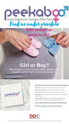 Pregnancy gender reveal testing