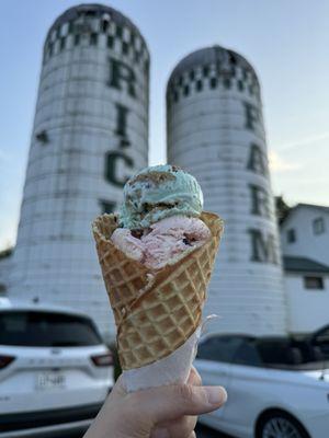 Razzmanian Devil & Cookie Monster in a small waffle cone