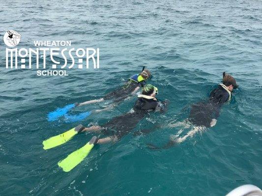 Upper Elementary students study coastal habitats on their recent trip to MarineLab in Key Largo, Florida.