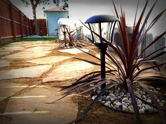 Native plants with decomposed granite.