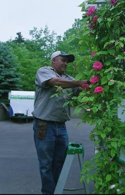 Expert Pruning