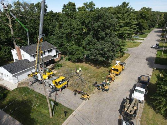 Large oak removal with limited access. 65 Ton Crane required