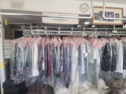 Professional Dry Cleaners