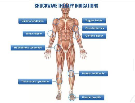 California Spinal Rehab Clinic