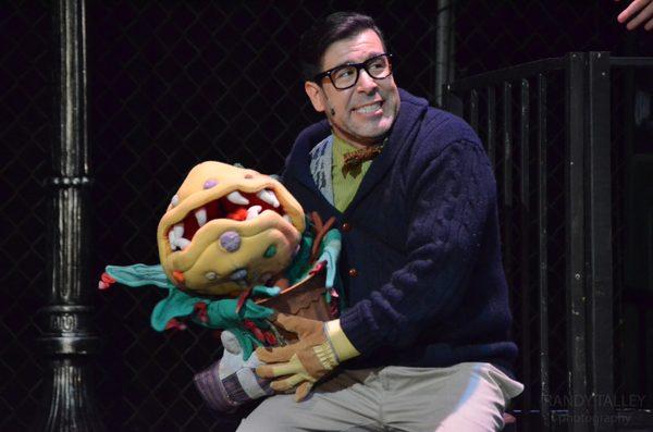 Seymour and Audrey II in Little Shop of Horrors at ALT!