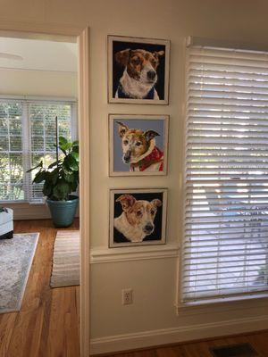 Sandfly Custom Framing