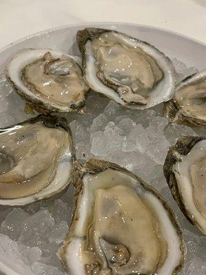 1/2 dozen oysters