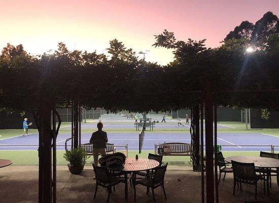 Patio overlooking the brand new courts (2019)