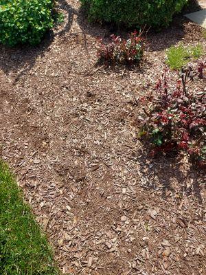 Deteriorated Mulch after 6 months from installation