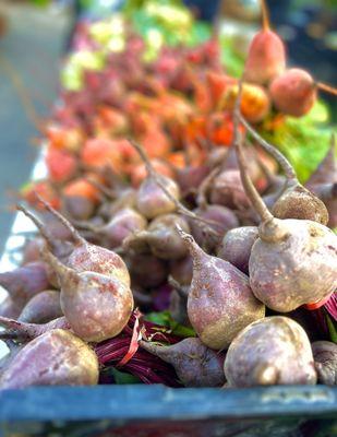 Skokie Farmers Market