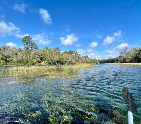 Rainbow River Kayak Adventures