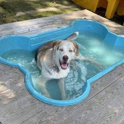 Cal enjoying a pool day with his friends