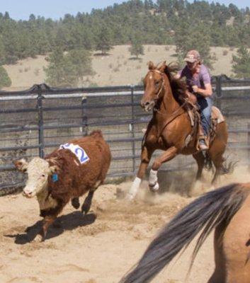 Wouldn't be back in the saddle without Dr. Jared Foran!