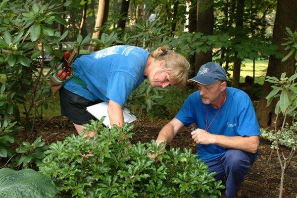 Inspecting for Disease or pests