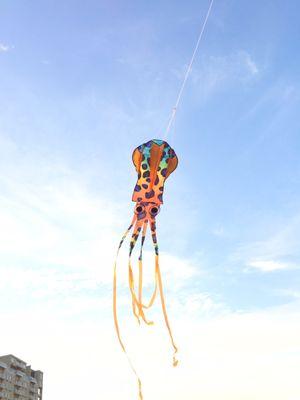 Flying kites at sunset