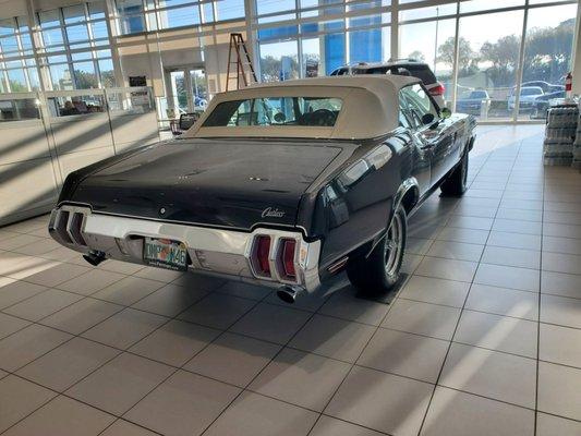 Old cutlass in the showroom