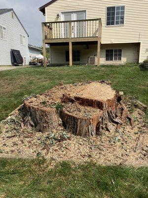 A Cut Above Tree Service