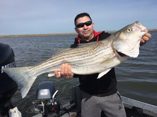 Delta striper fishing