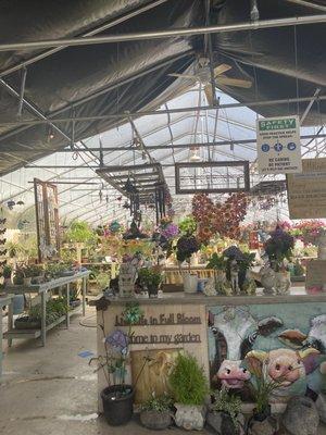 1 of 3 greenhouses on the nursery property.