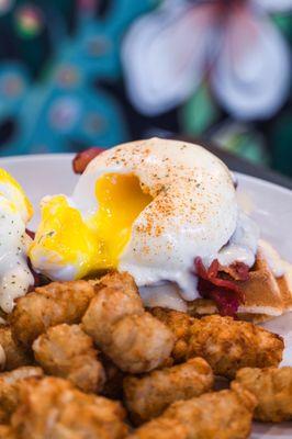 Canadian Bacon Egg Mochi Waffle Benedict