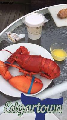 Lobsters from the market. We melted our own butter for dipping