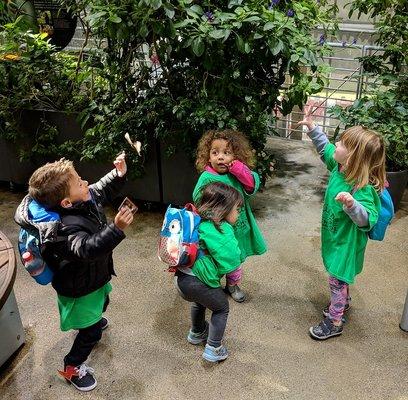 Field Trip to Academy of Sciences