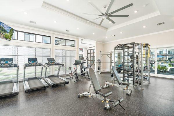 Cardio and strength equipment in the bright fitness center.