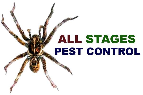 All Stages Pest Control