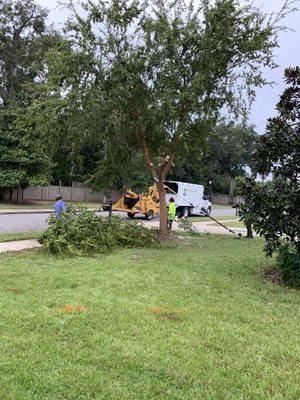 Bryan Connor and his guys did an awesome job taking down our tree. Thoughtful, courteous and knowledgeable.