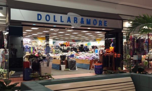 Dollar & More in the Sebring Lakeshore Mall