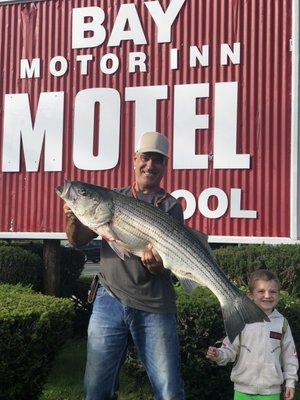 Fisherman love The Bay Motor Inn location. Simply walk across the street and fish the Cape Cod Canal