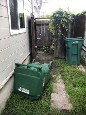 Our backyard gate wide open with our bin knocked over. They really couldn't have closed it and picked up the bin I don't t understand