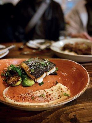 Black Cod | brussels sprouts, lemon, garlic, parsnip puree, aleppo pepper