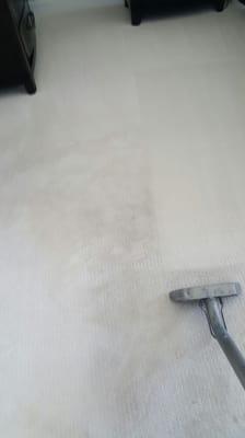 Off white carpet cleaning well