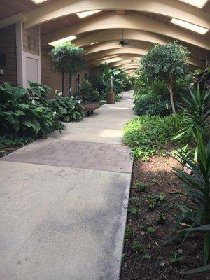 Beautiful path to the individual offices within the building.