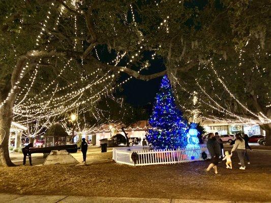 Plaza de la Constitucion -- Christmas lights