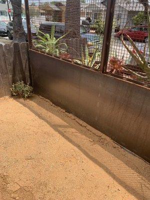 Fenced in Zen garden for tenant's use