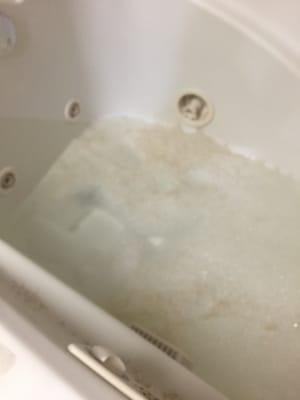 What my jetted tub looked like. Absolutely disgusting.