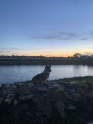 Chico on the banks of the Platte River off the back of our trailer