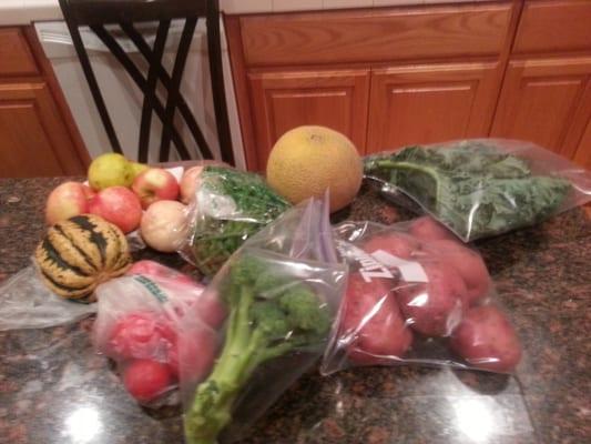 A share: tomatoes, taters, kale, broccoli, melon, apples, pear, onions, string beans, & a super cute squash.(costco ziplocs)