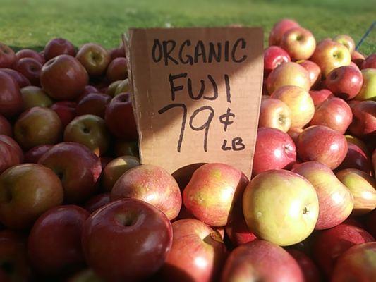 Best apple prices on the harbor