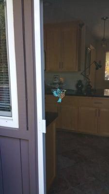 A cute songbird two-sided magnet for my screen door so that no one accidentally runs into it.