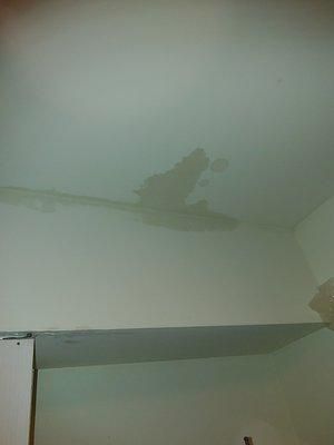 Leak in kitchen ceiling.  Same leak the manager Barb told me didnt exist.