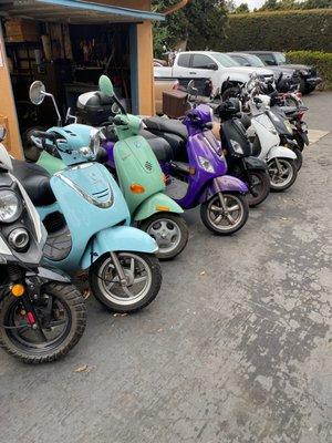 Ooty's Scooters