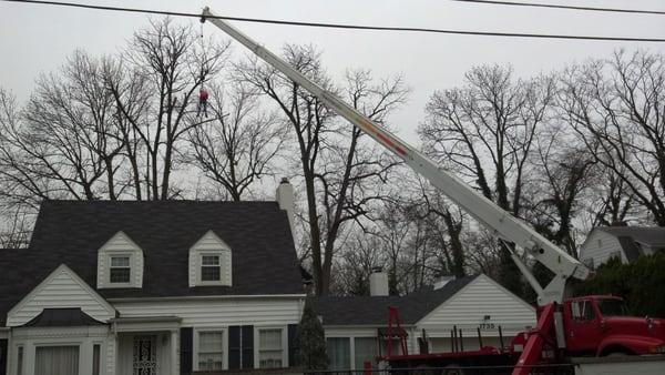 Trappers Tree Service, tree, trimming, removal, Lighting, Columbus, Ohio, Worthington, Dublin, 43221, 43212, installation