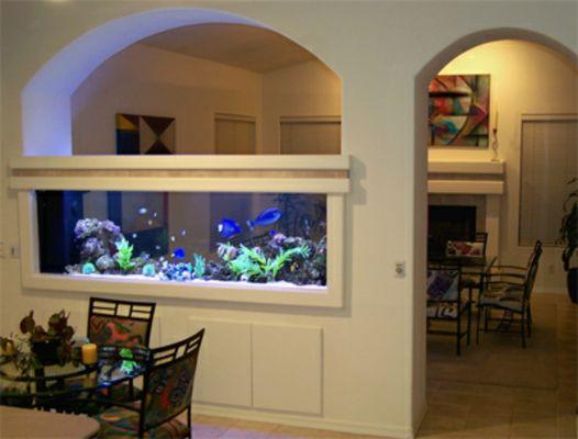 Built in aquarium and deco